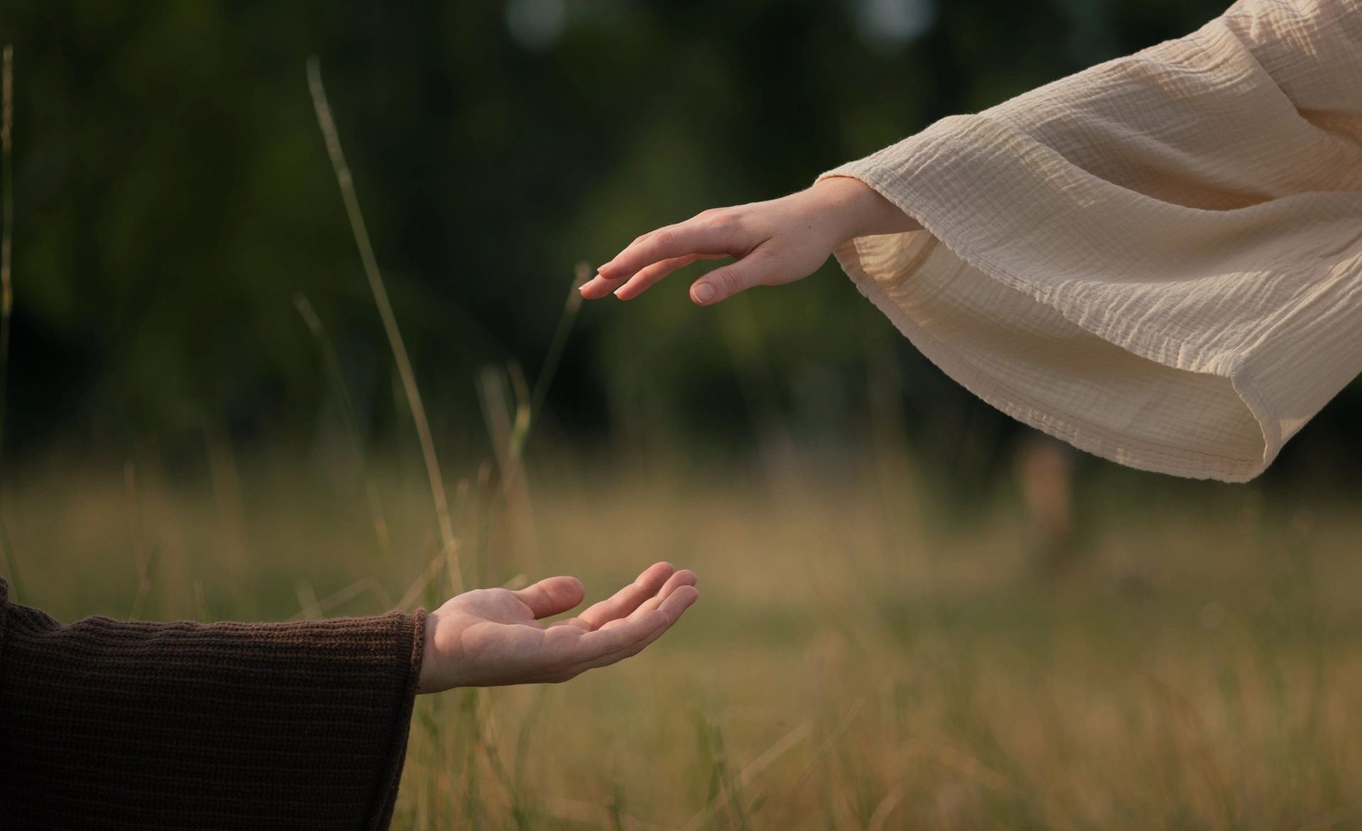 zwei Hände die sich fast brühren
